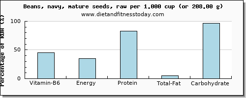 vitamin b6 and nutritional content in navy beans